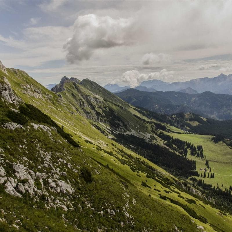 Vintage Film Noir Portrait — Portrait AI art prompt example for Midjourney and Stable Diffusion