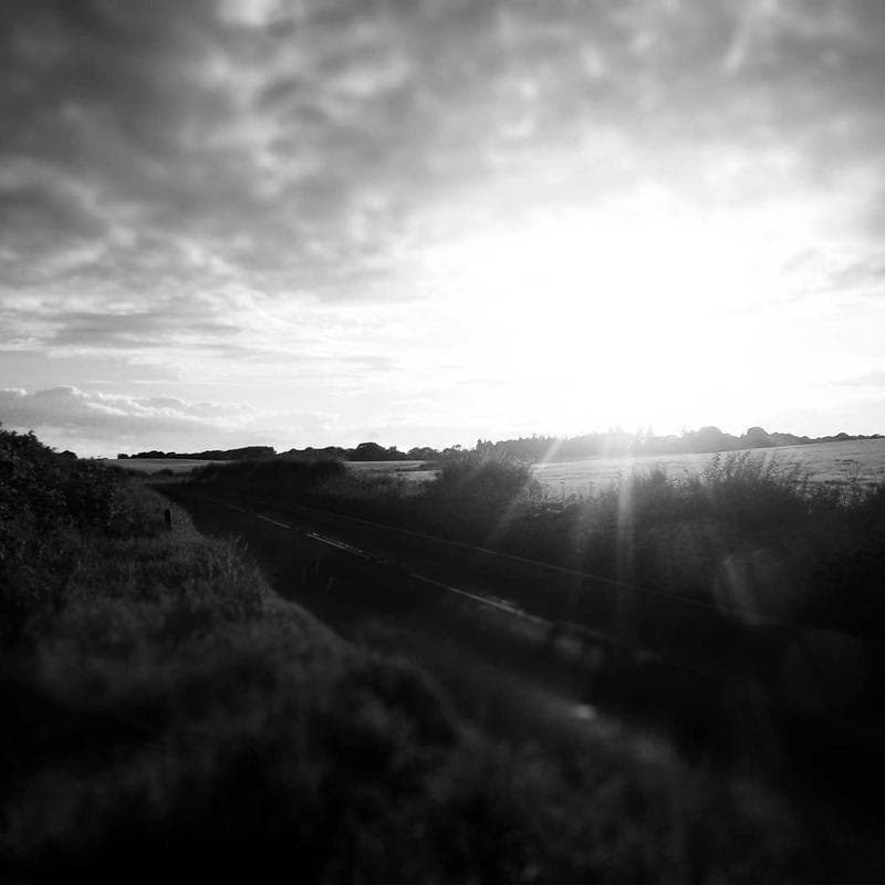 Corporate Professional Portrait — Portrait AI art prompt example for Midjourney and Stable Diffusion