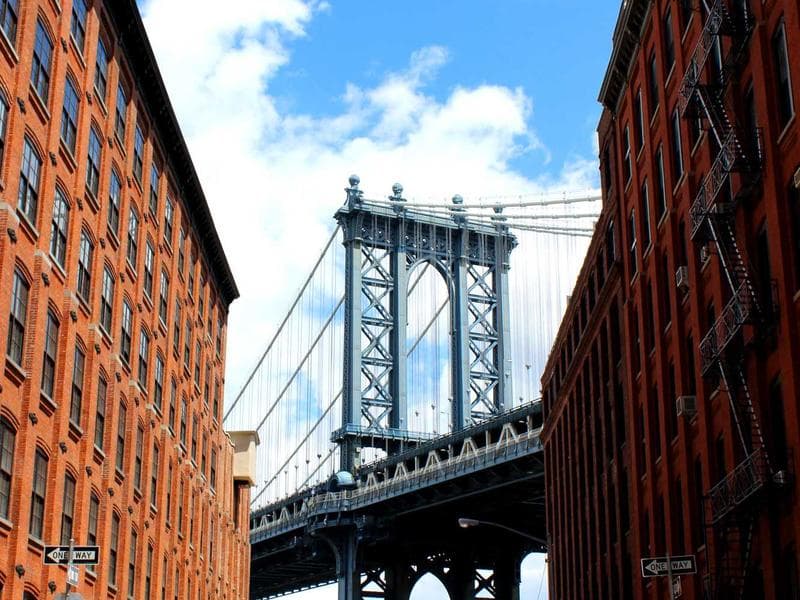 Cherry Blossom Avenue — Nature AI art prompt example for Midjourney and Stable Diffusion